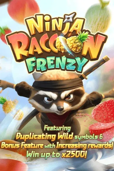ninja-raccoon